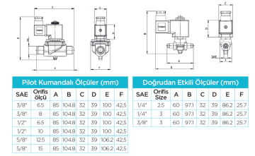 1/4'' RAKORLU 2,5 MM ORIFISLI DİREKT TIP SOLENOID VANA 220V